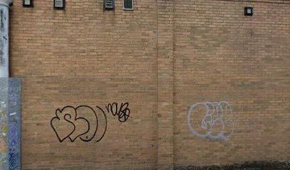 Pro Active featured image