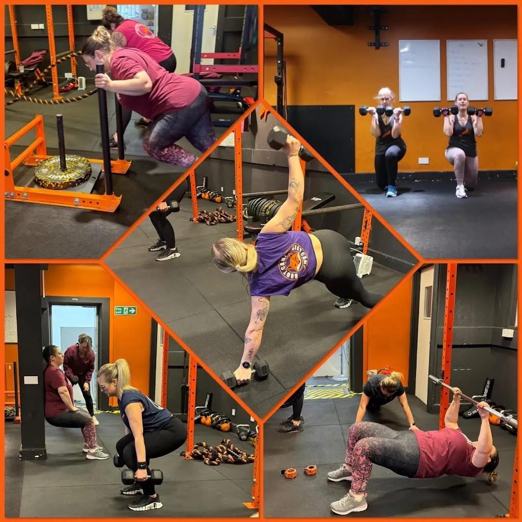 Red Fox Training featured image