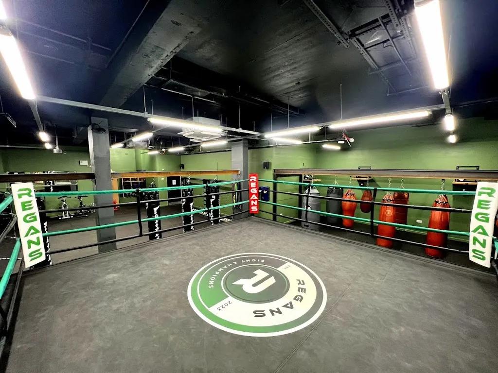 Regans Fight Champions featured image