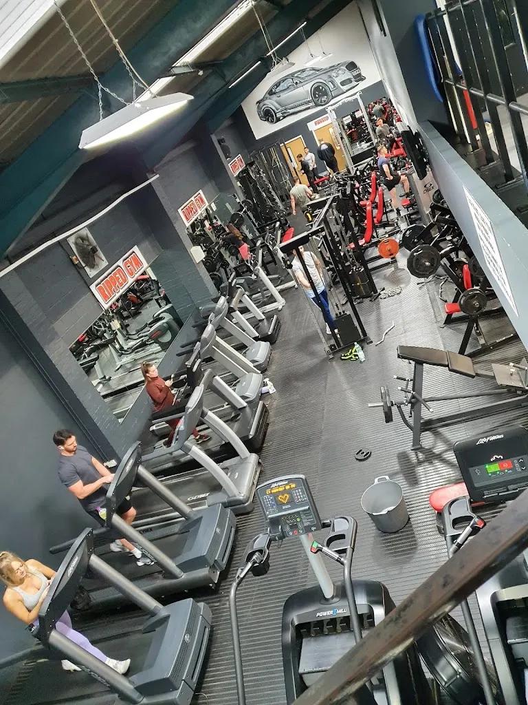 Ripped Gym featured image