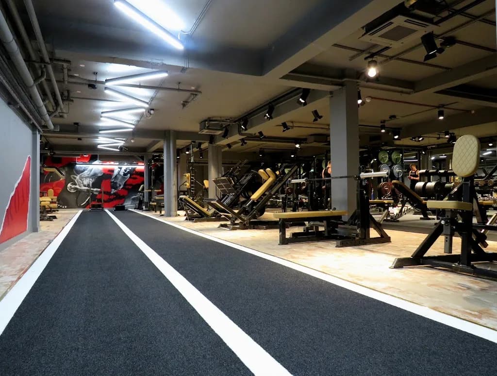 Roar Fitness London Kensington featured image