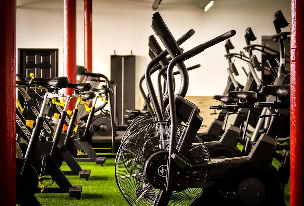 Seddons Strength & Conditioning Gym featured image