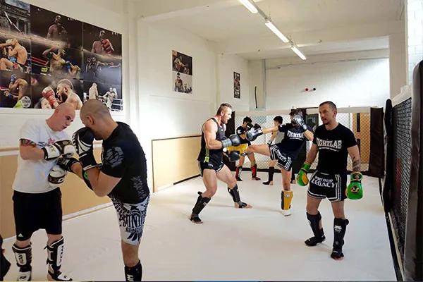 Spirit Dojo Legacy featured image