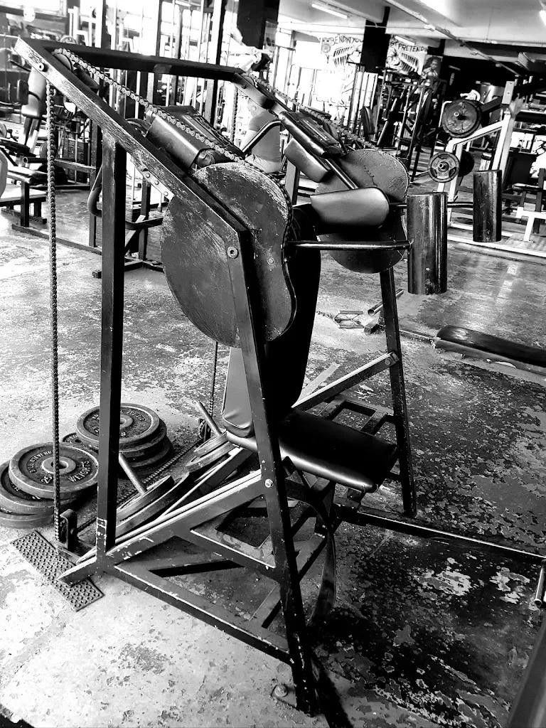 Steel City Gym featured image