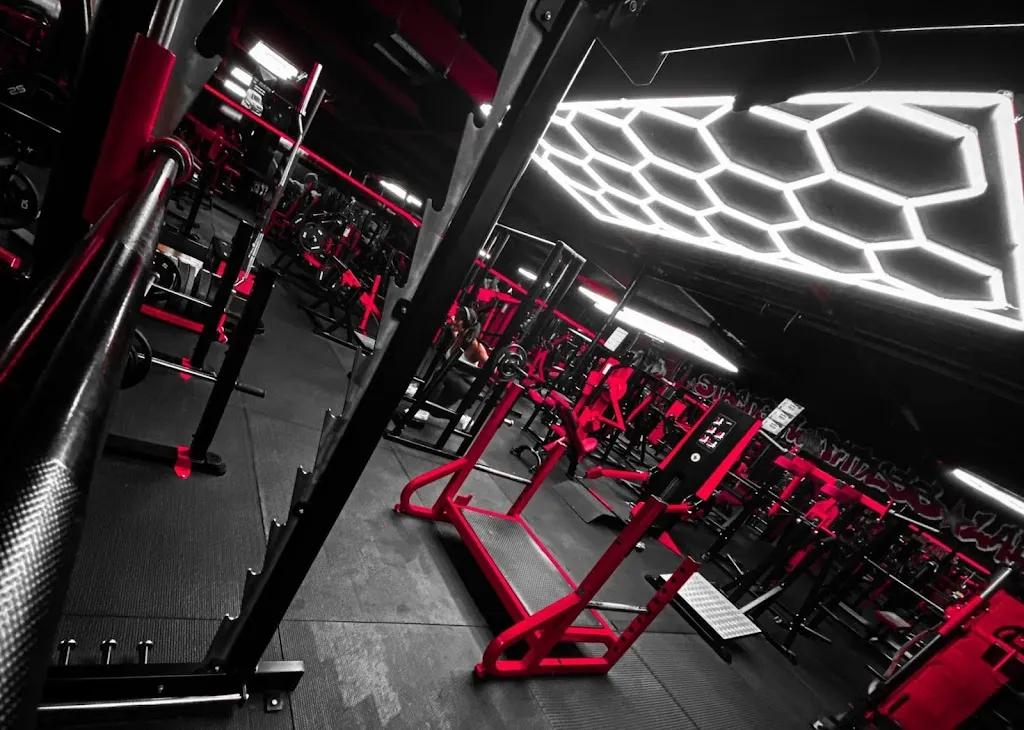 Strength And Fitness Lab featured image