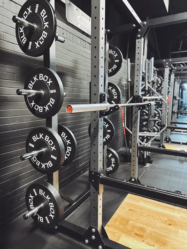 Strive Culture featured image