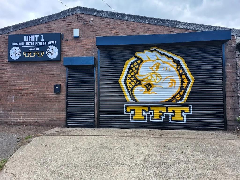 TFT MMA featured image