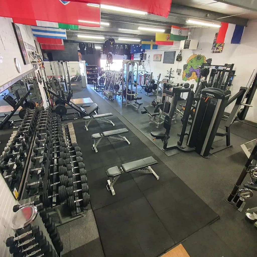 The Bodybuilding and Fitness Gym Edinburgh featured image