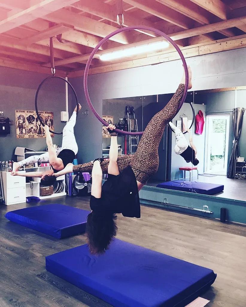 The collective aerial arts and fitness featured image