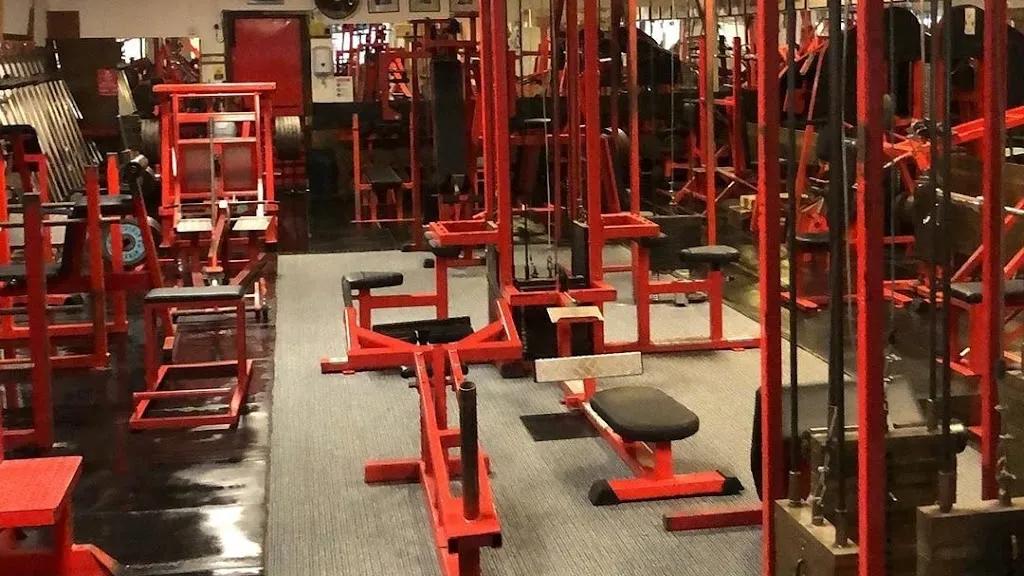 The Forest Gym featured image