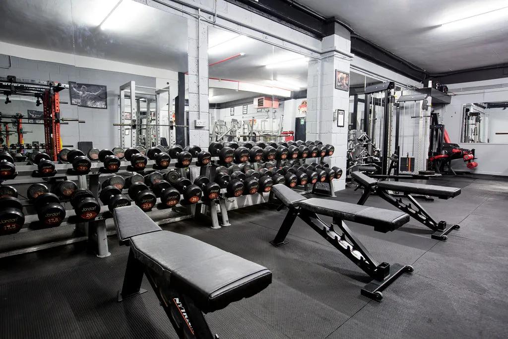 The Iron Kingdom Gym Barnsley featured image