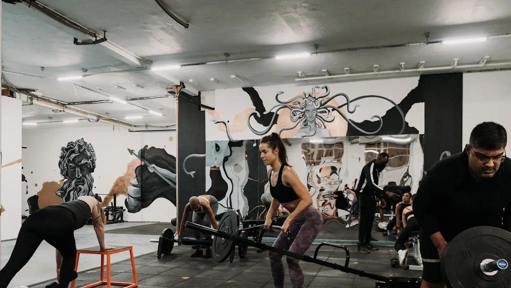 The Olympus Projects featured image