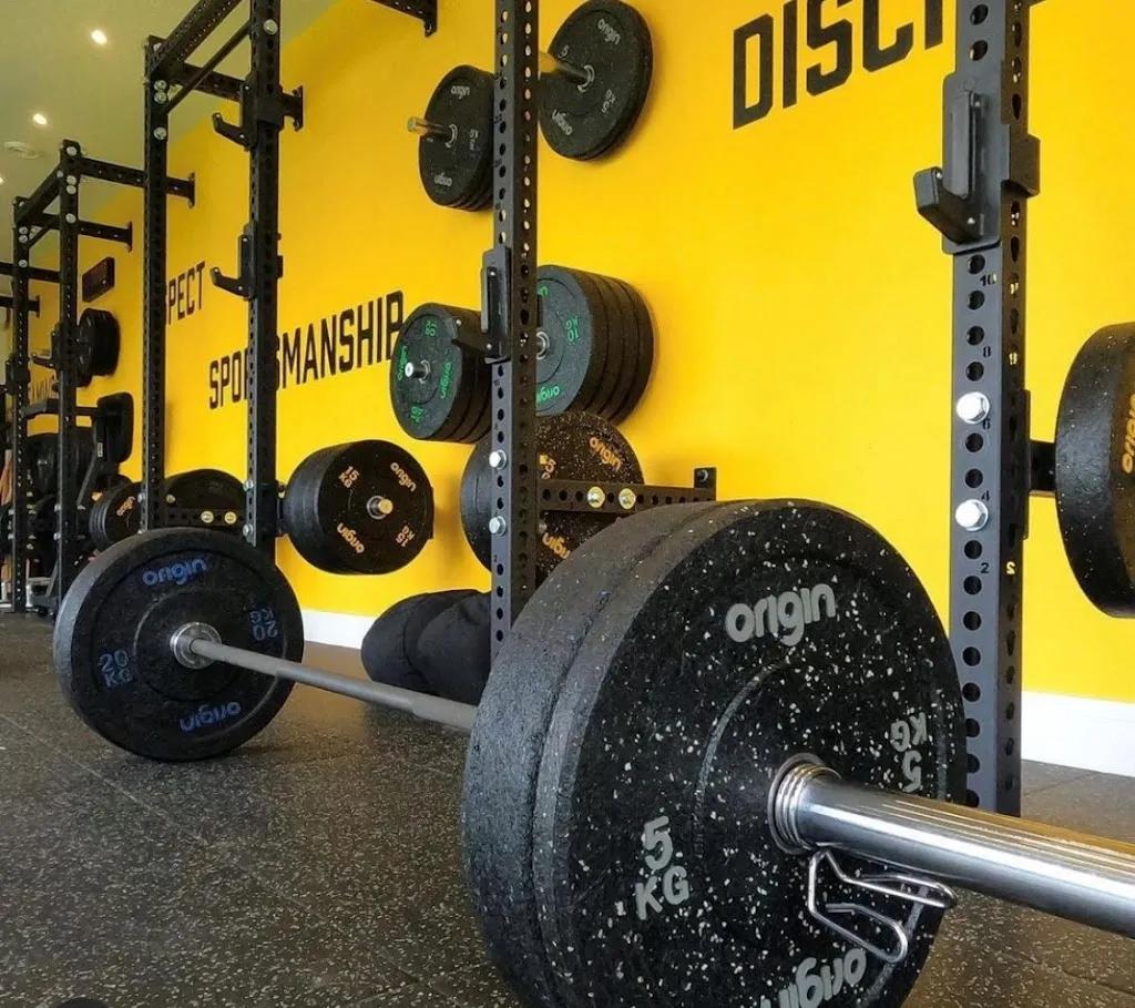 The Shed featured image