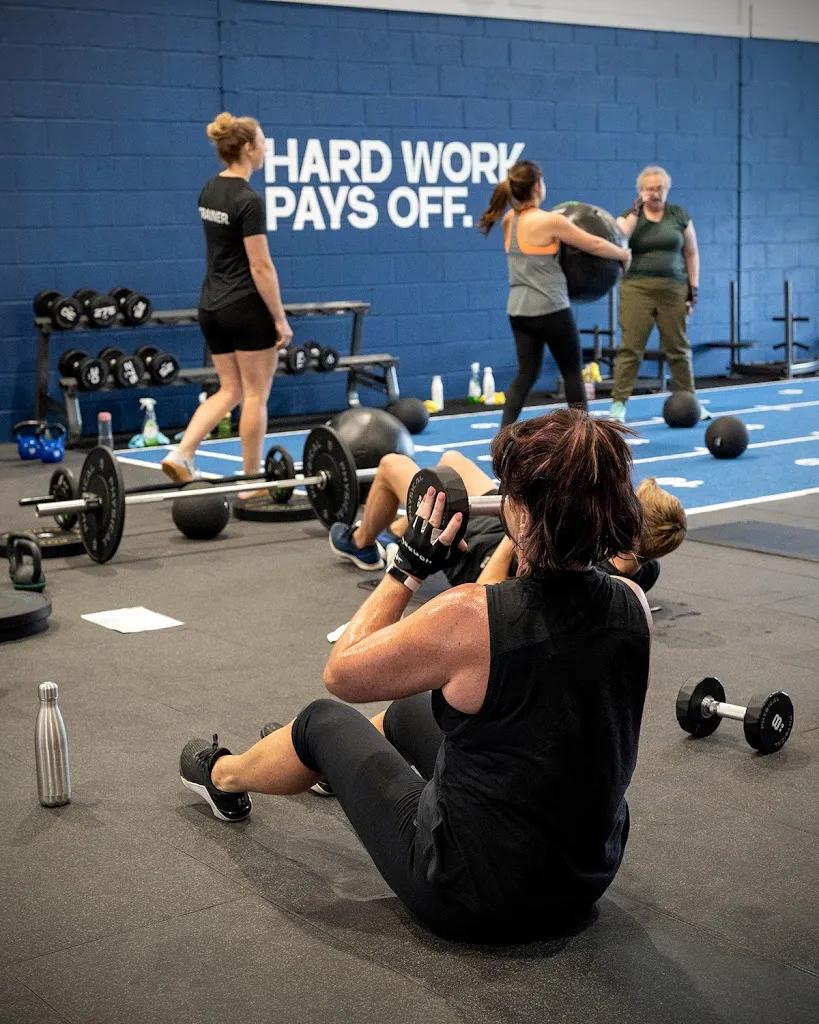 The Shredquarters Chelmsford featured image