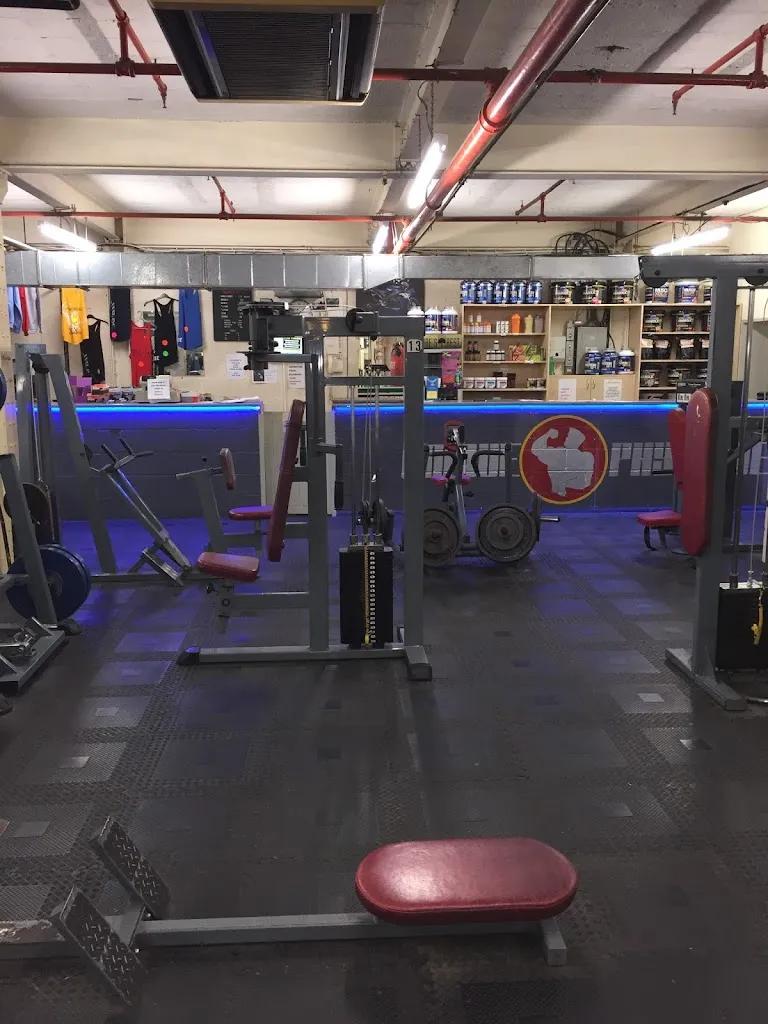 Unique Physique featured image