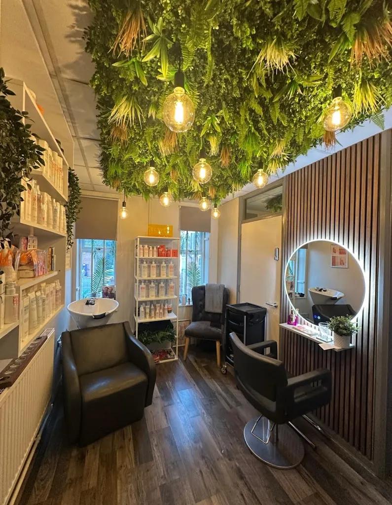 WELLNESS ZONE featured image