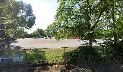 WILL TO TRAIN featured image