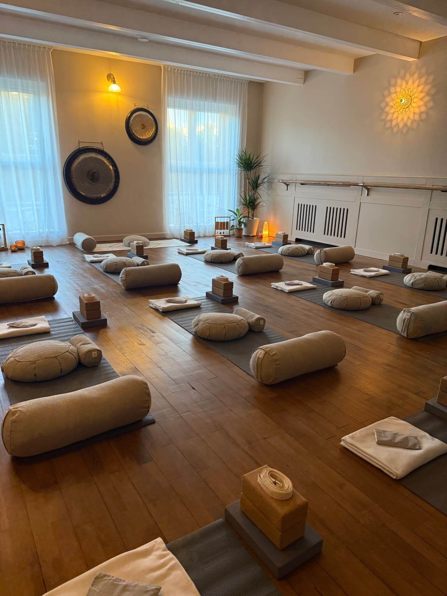 Featured image for Yogi Sanctuary
